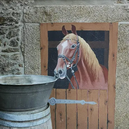 Apartment Plotzen Hochkirch